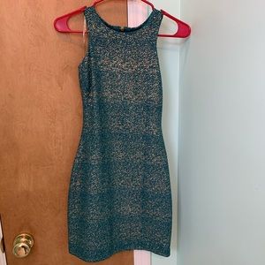 Sparkle Bodycon Dress